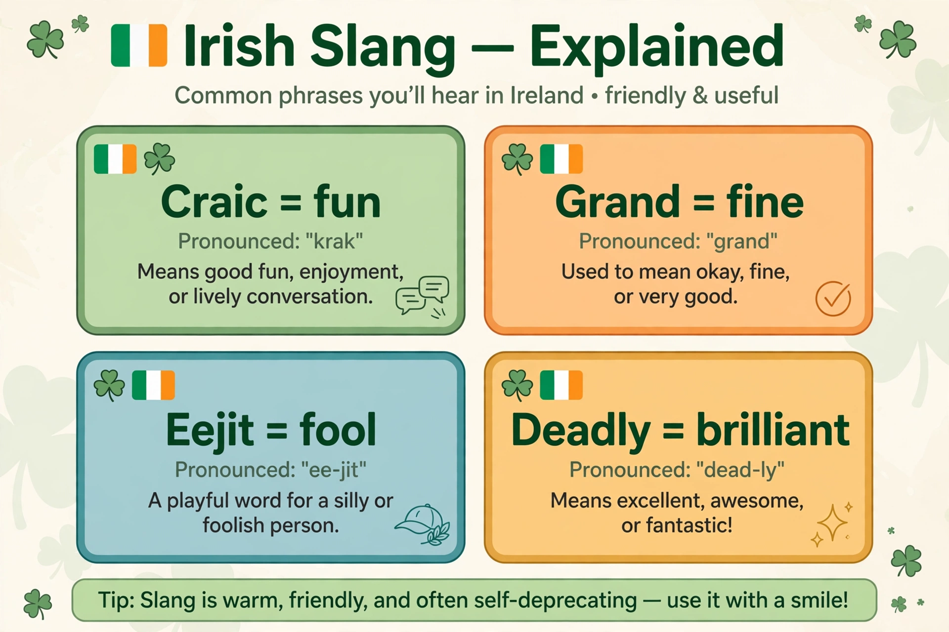 irish slang meaning infographic