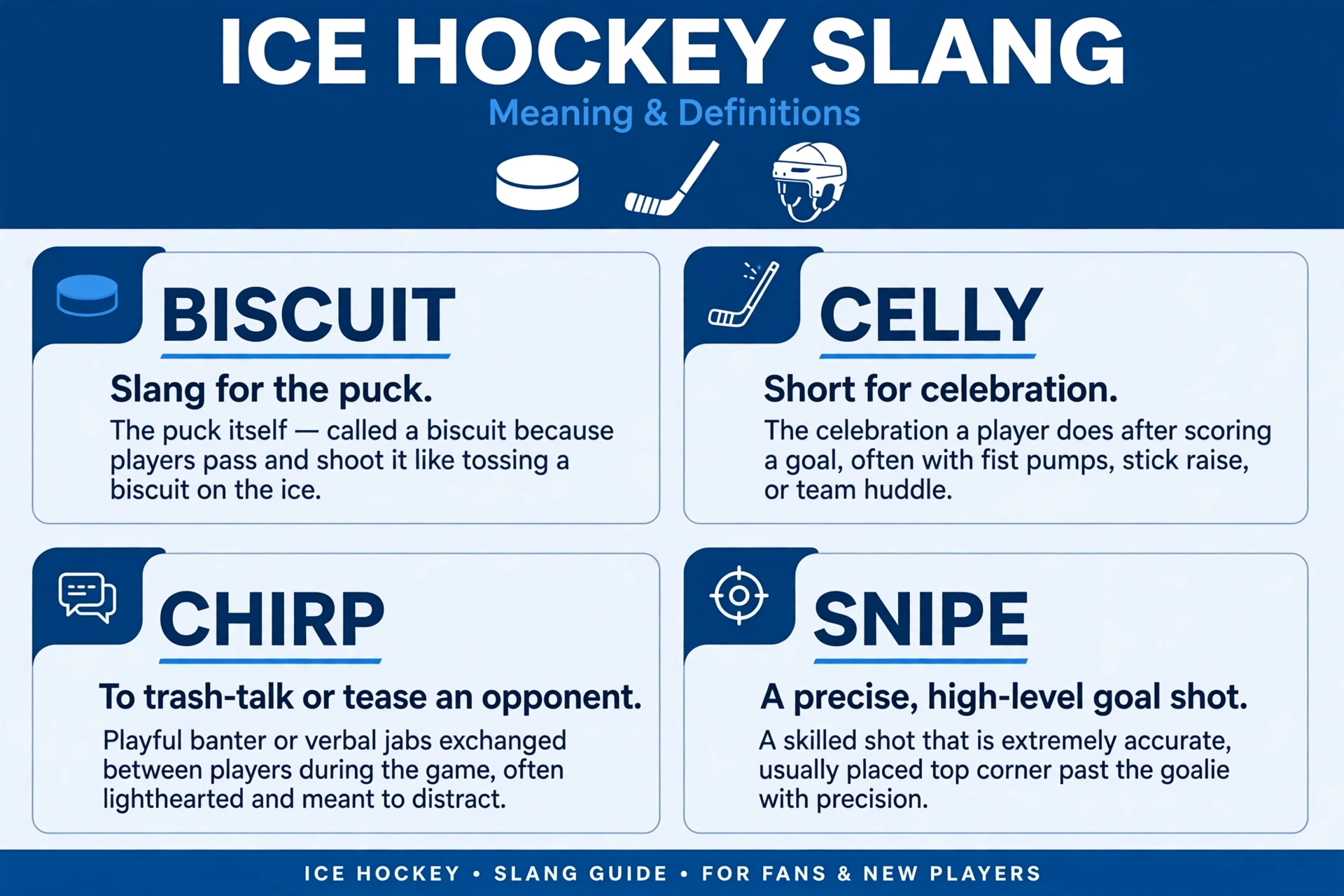 hockey slang meaning infographic
