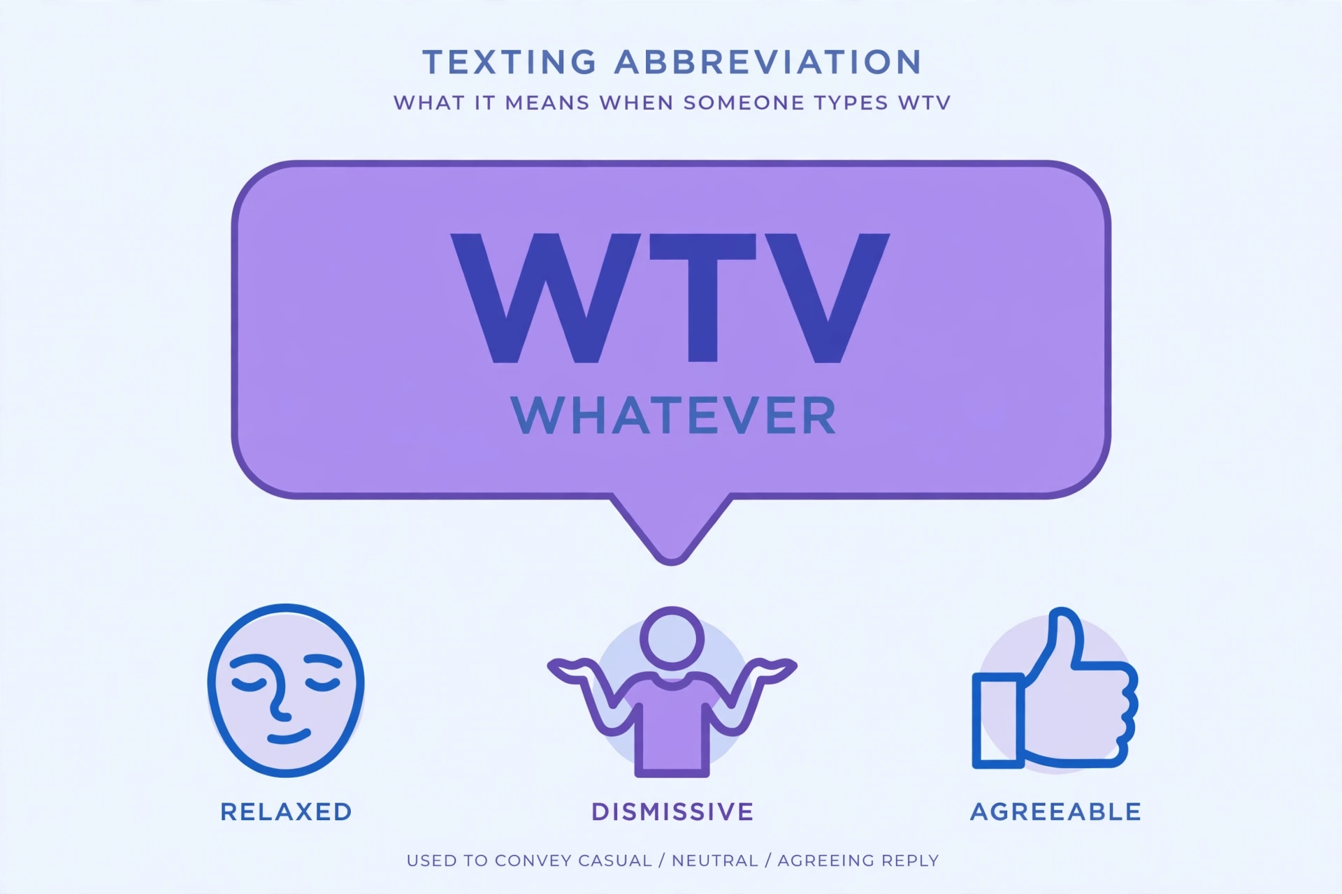 wtv meaning in text definition infographic