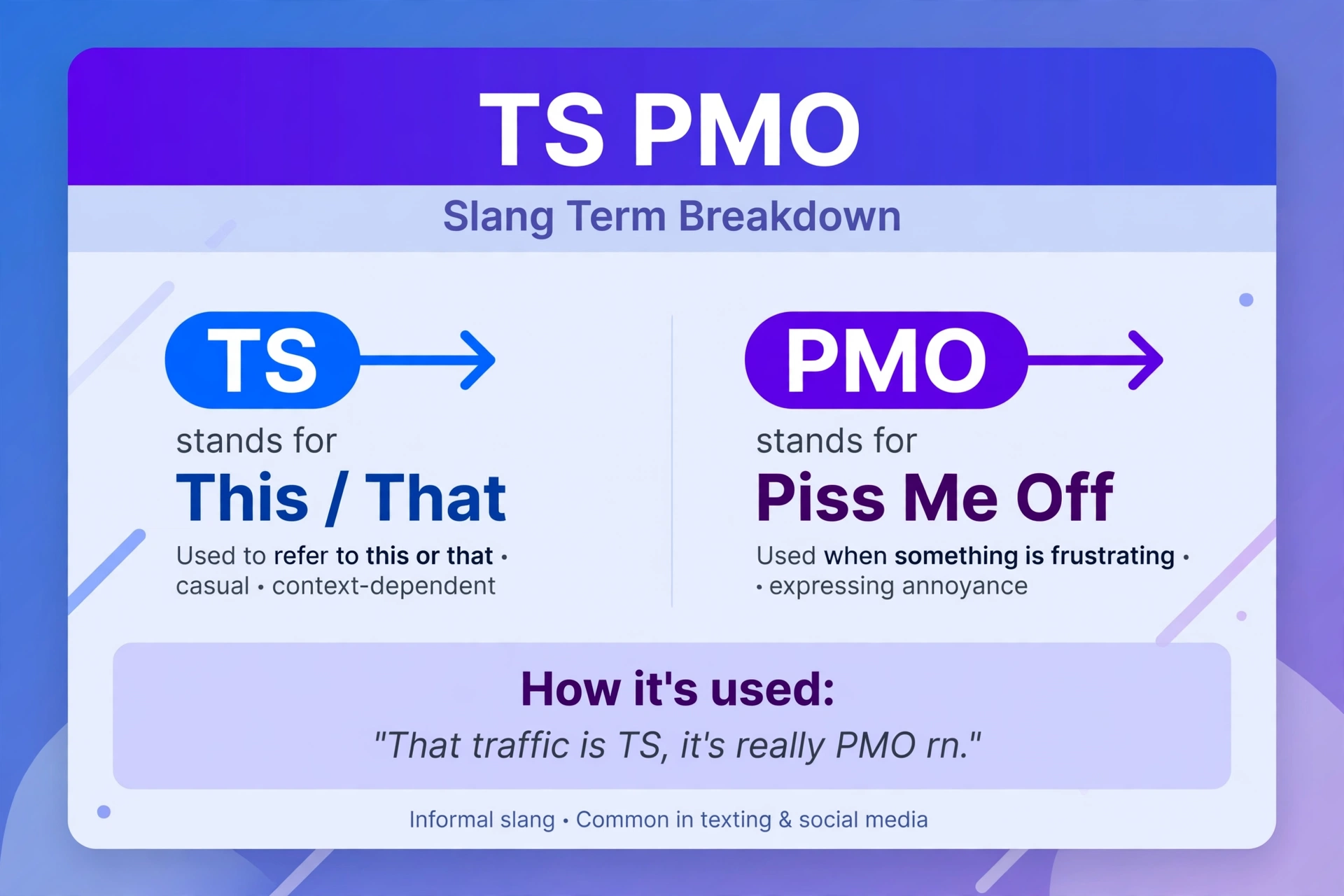 ts pmo meaning infographic