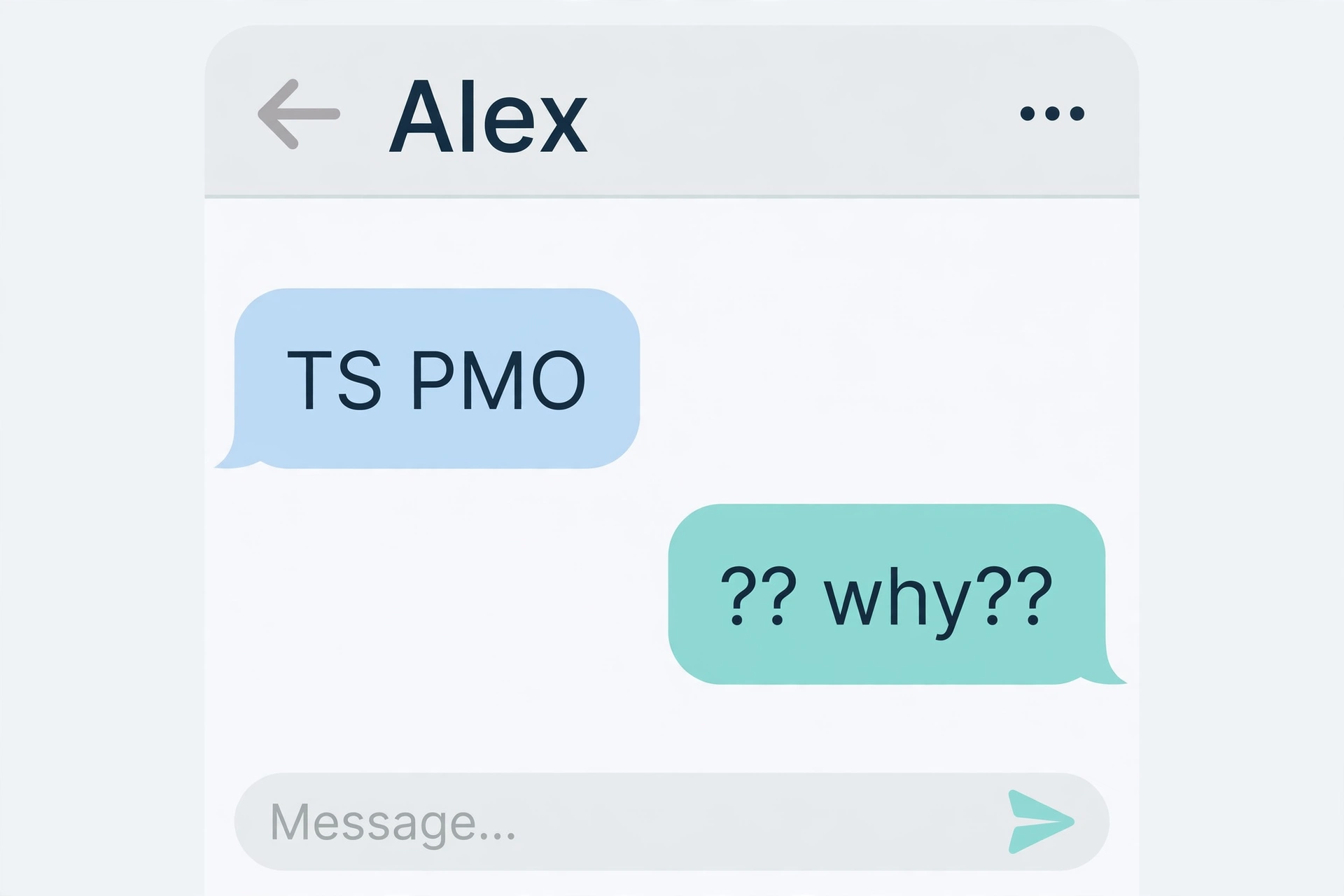 example chat using ts pmo