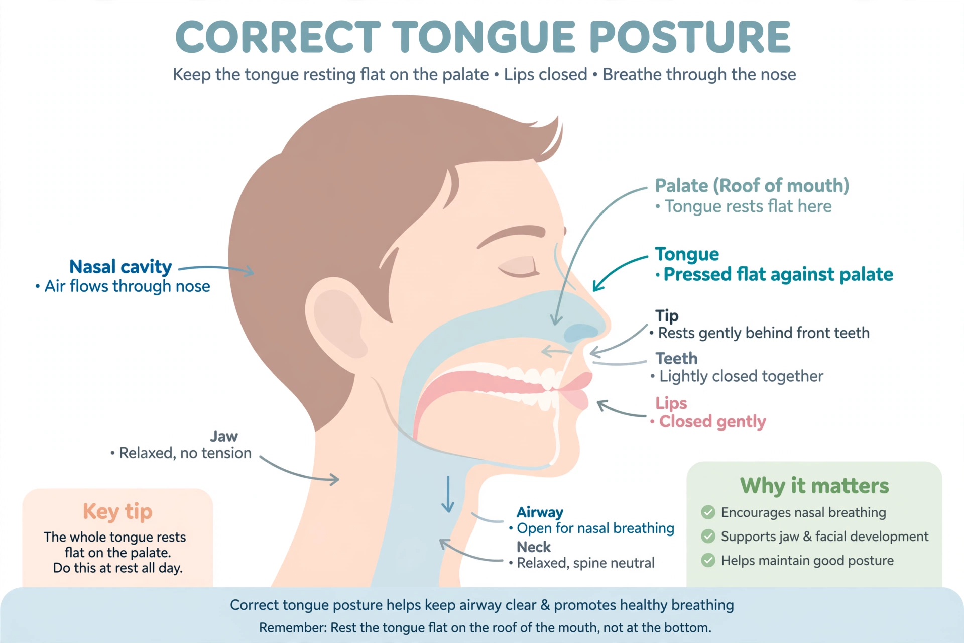 mewing meaning definition infographic